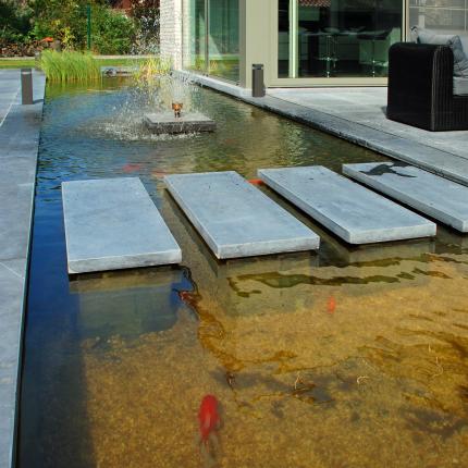 Waterpartij met stapstenen