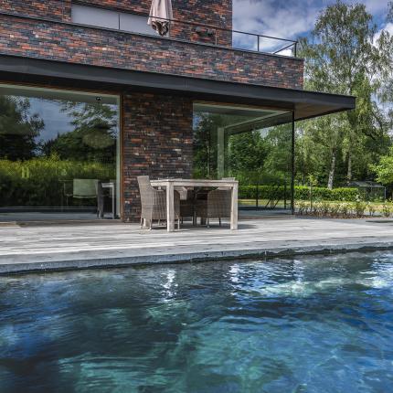 Achtergevel met aanpalend terras en zwemvijver