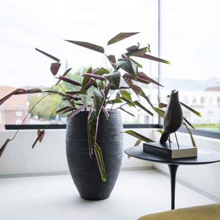 Detail vaas nabij één van de grote ramen