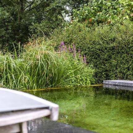 Tuin eigenzinnige, strakke villa